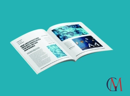 Revistas